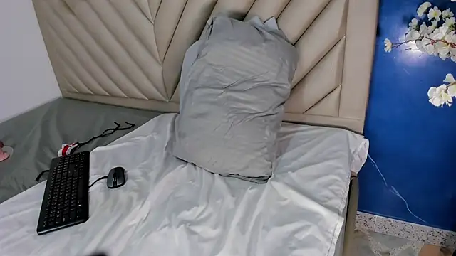 Ibbie_drastic webcam