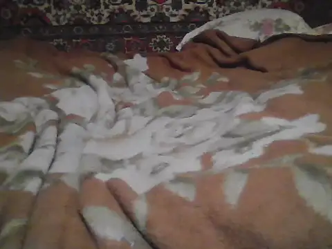 AlferezzSolvajo webcam