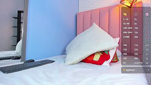 DENISERICHARD2 webcam