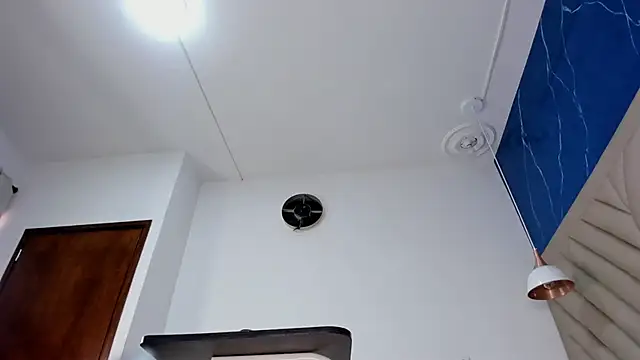 Ibbie_drastic webcam