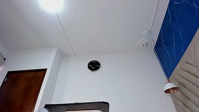 Ibbie_drastic webcam