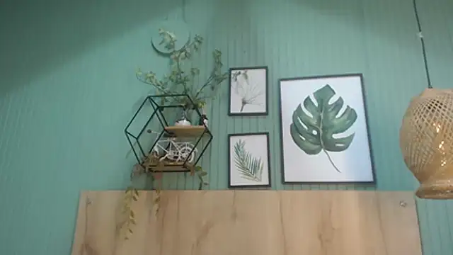 george_jonnes webcam