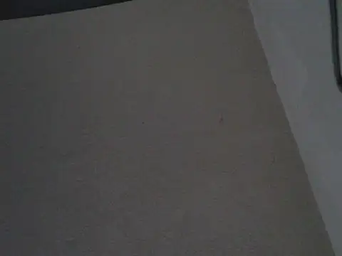 GordoChancludoSLP webcam