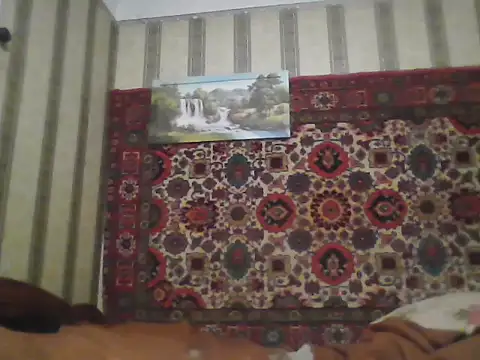 AlferezzSolvajo webcam