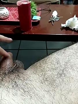 Jorgelopez4312 webcam