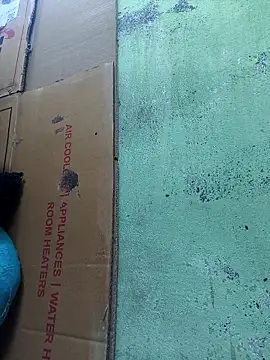 Tamilselviroja- webcam