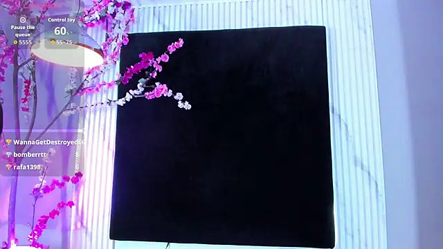 arya_alaya_cr webcam