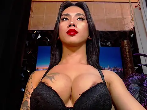 TRANSPORNIDOL webcam