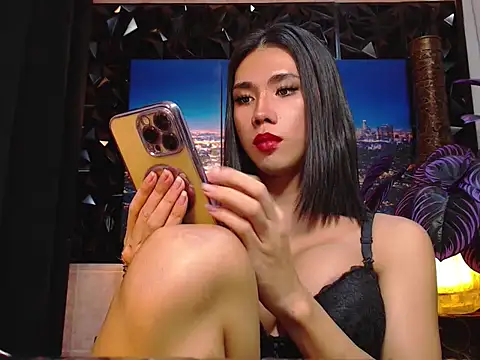 TRANSPORNIDOL webcam