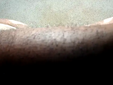 seductivescamp webcam