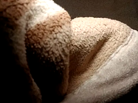 seductivescamp webcam