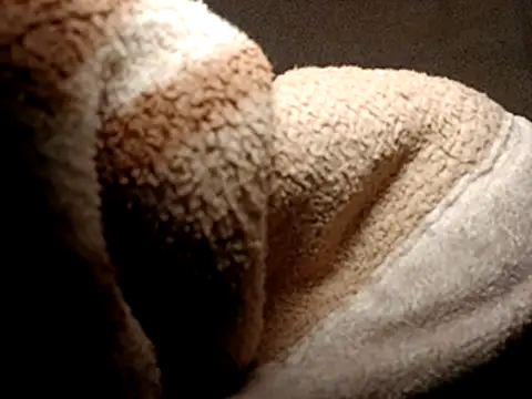 seductivescamp webcam