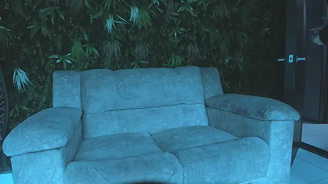 ObsidianOrchid webcam