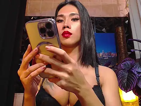 TRANSPORNIDOL webcam