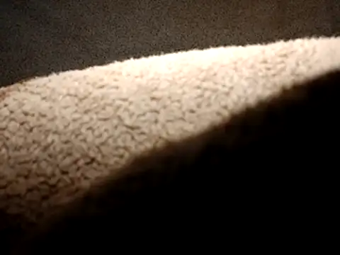 seductivescamp webcam