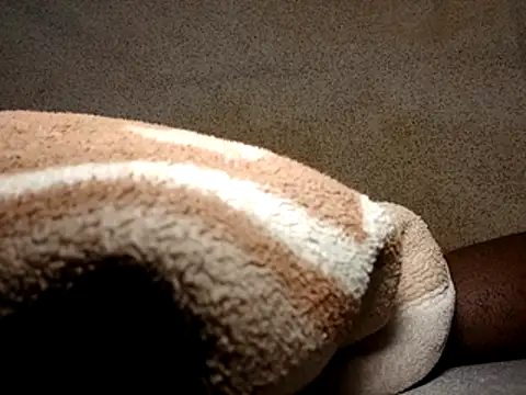 seductivescamp webcam