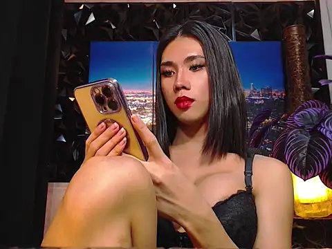 TRANSPORNIDOL webcam