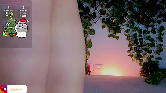 Levii_Ackermann webcam