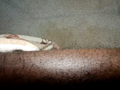 seductivescamp webcam