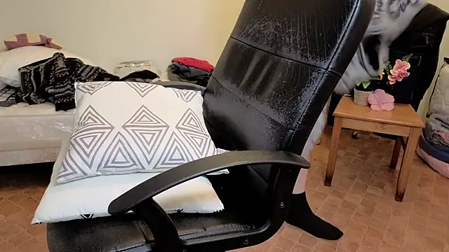 SteveStiffbone webcam