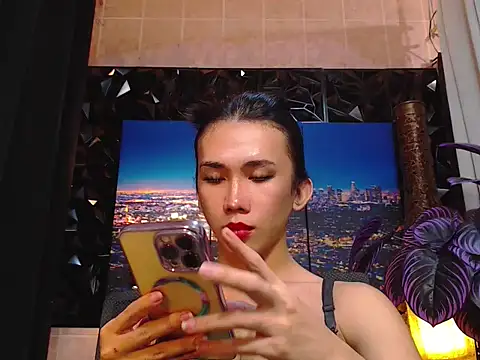 TRANSPORNIDOL webcam