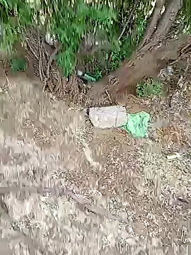 camy721 - Camy721's free webcam - UK Sex Cams