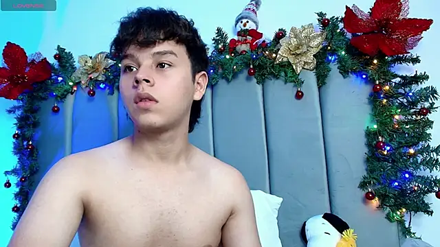 nico_leroy webcam
