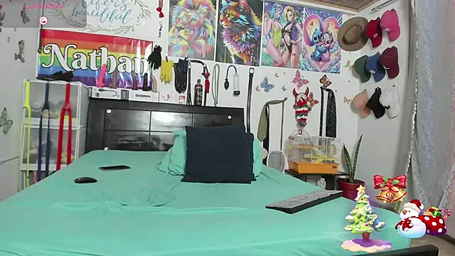 nathan_sanchez webcam
