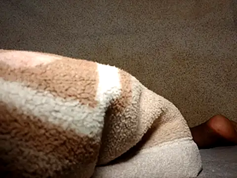 seductivescamp webcam