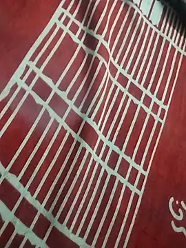 hyderabad_single webcam