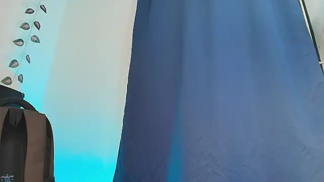 Erick_Taylor3 webcam