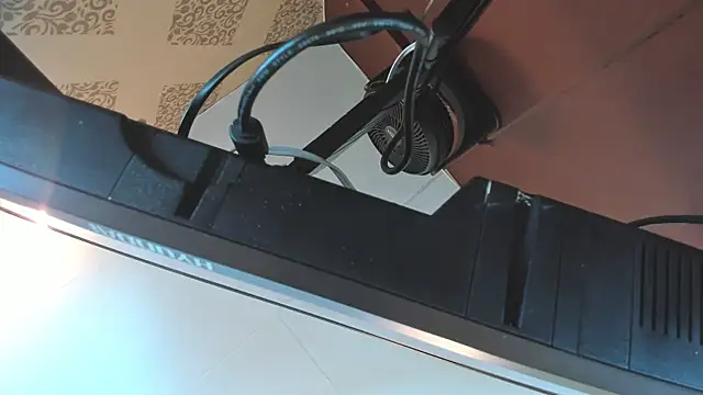 Corina_Taylor_ webcam