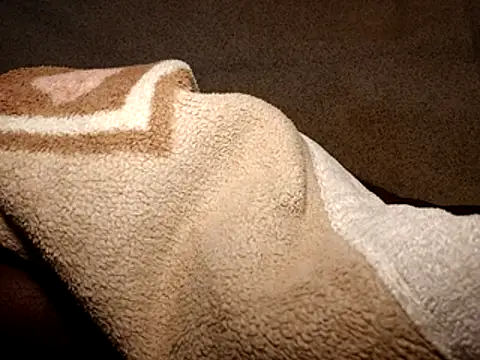 seductivescamp webcam