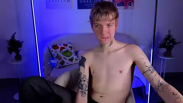 TRAVIS_CLAS webcam