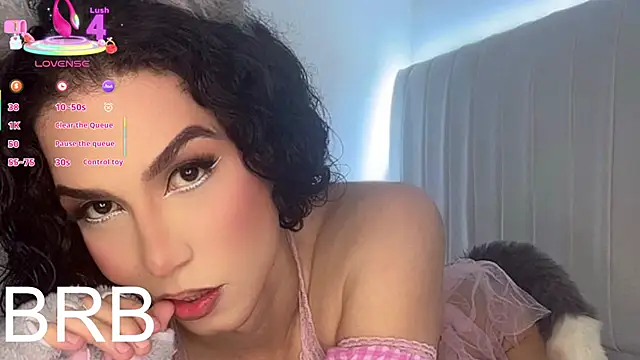 gatitavenecis webcam