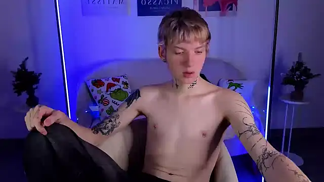 TRAVIS_CLAS webcam