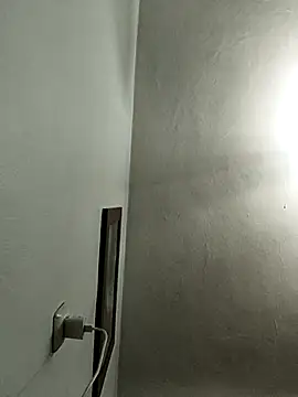 Bugattiveyron1 webcam