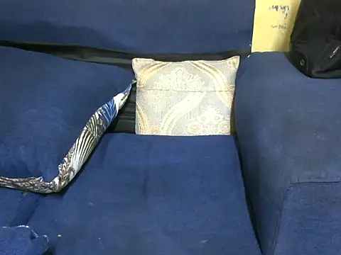 Thicky_ridder webcam