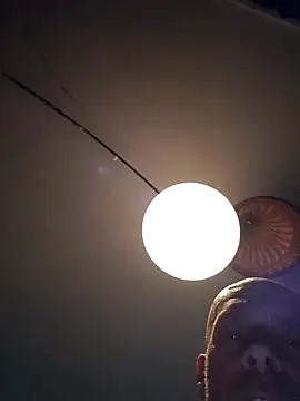 nolliebollieeeeeee webcam