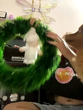 Paulina-Wells webcam