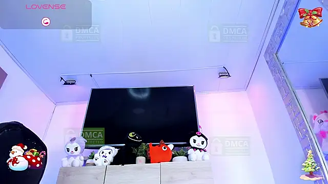 Palmer-Foster webcam