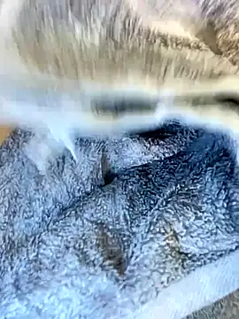 victory-jet-rain webcam