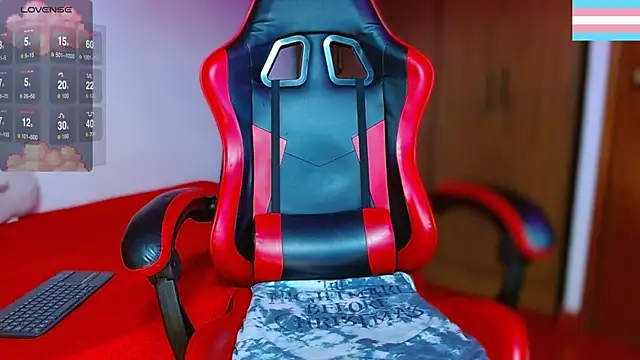 Hgp3riodictabl3 webcam