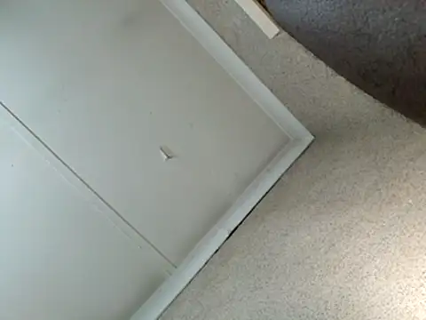 seductivescamp webcam