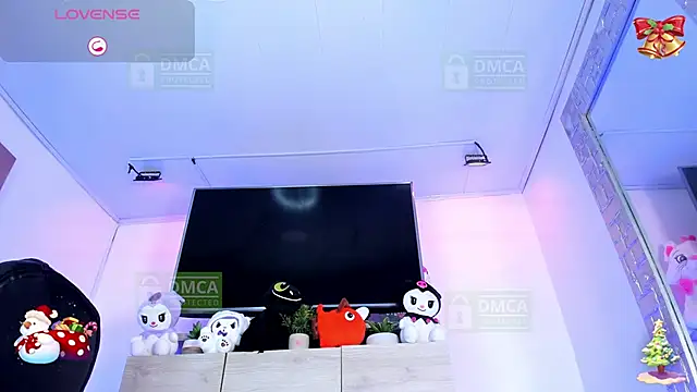 Palmer-Foster webcam