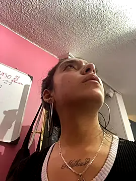 Alaska_euphoria webcam