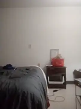 ReallyReallyReal webcam