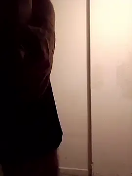 Thepunisherok webcam