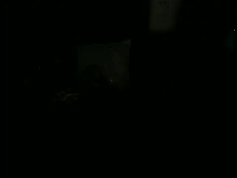 Thicky_ridder webcam