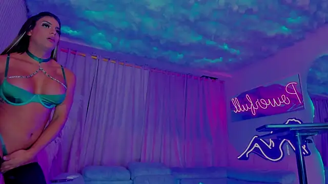 powerfull_ts_20 webcam